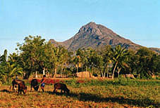 arunachala